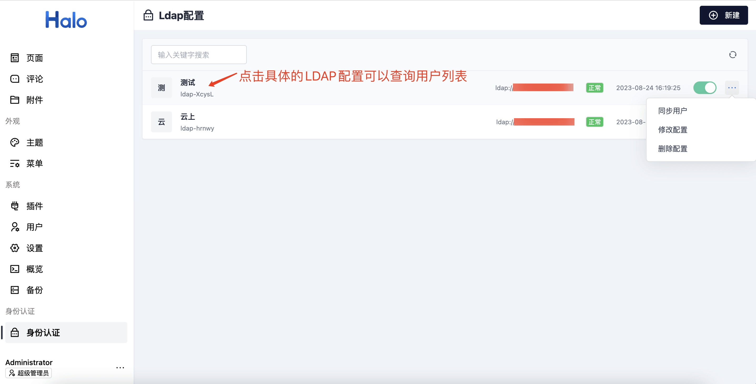 查看 LDAP 配置